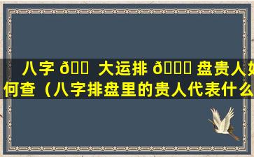 八字 🐠 大运排 🐝 盘贵人如何查（八字排盘里的贵人代表什么）